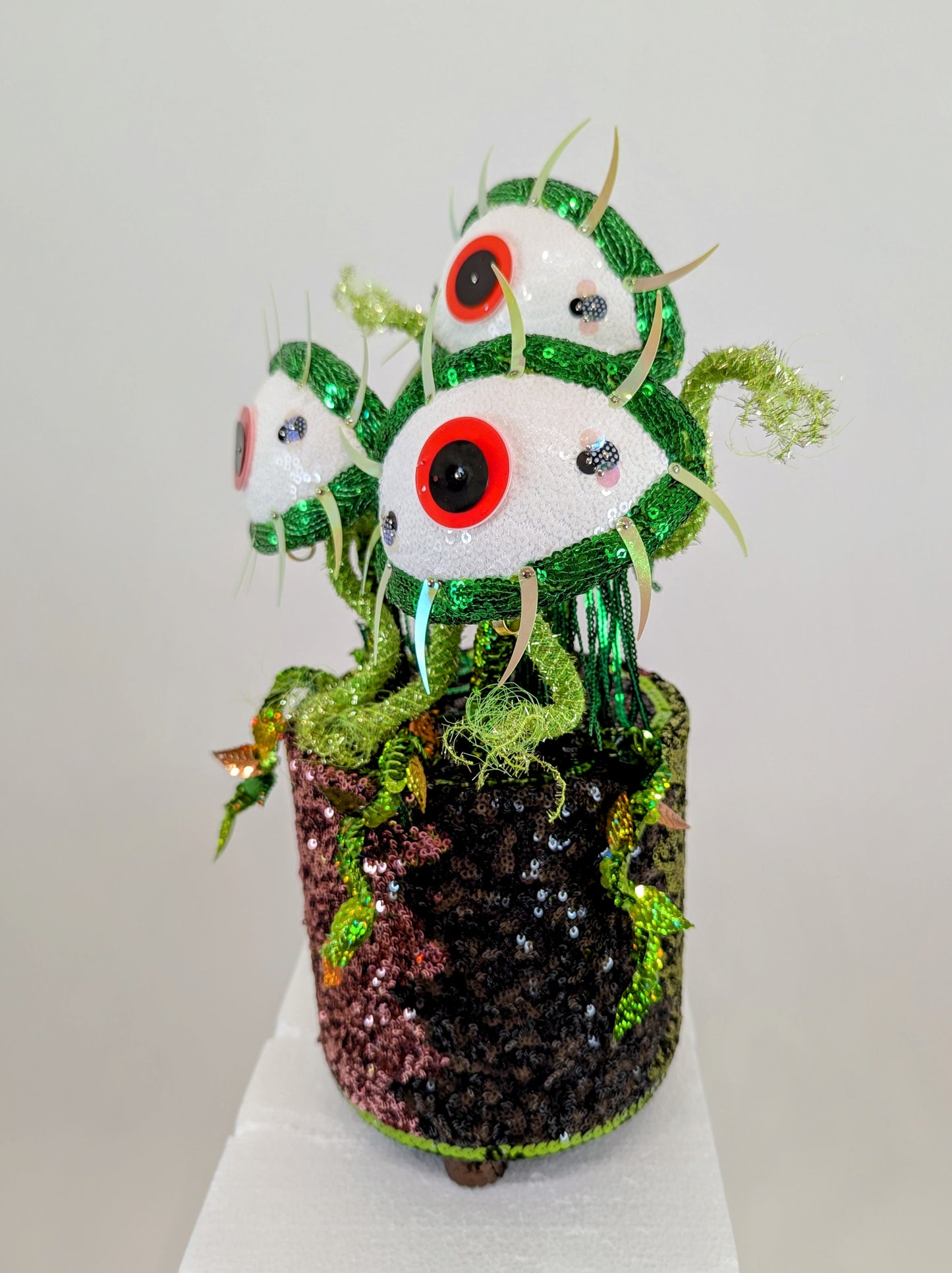 Venus Eye Trap Plant