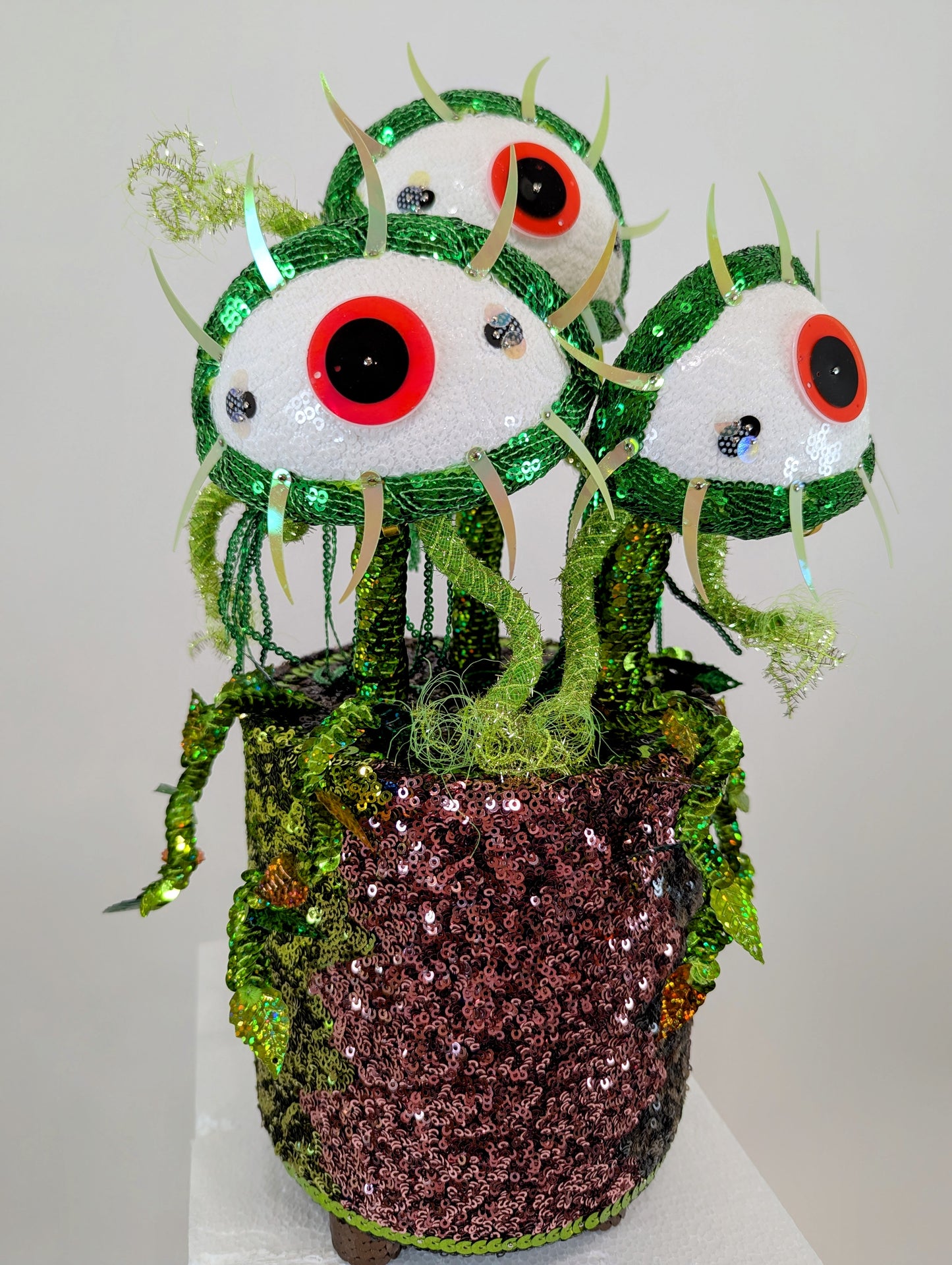 Venus Eye Trap Plant