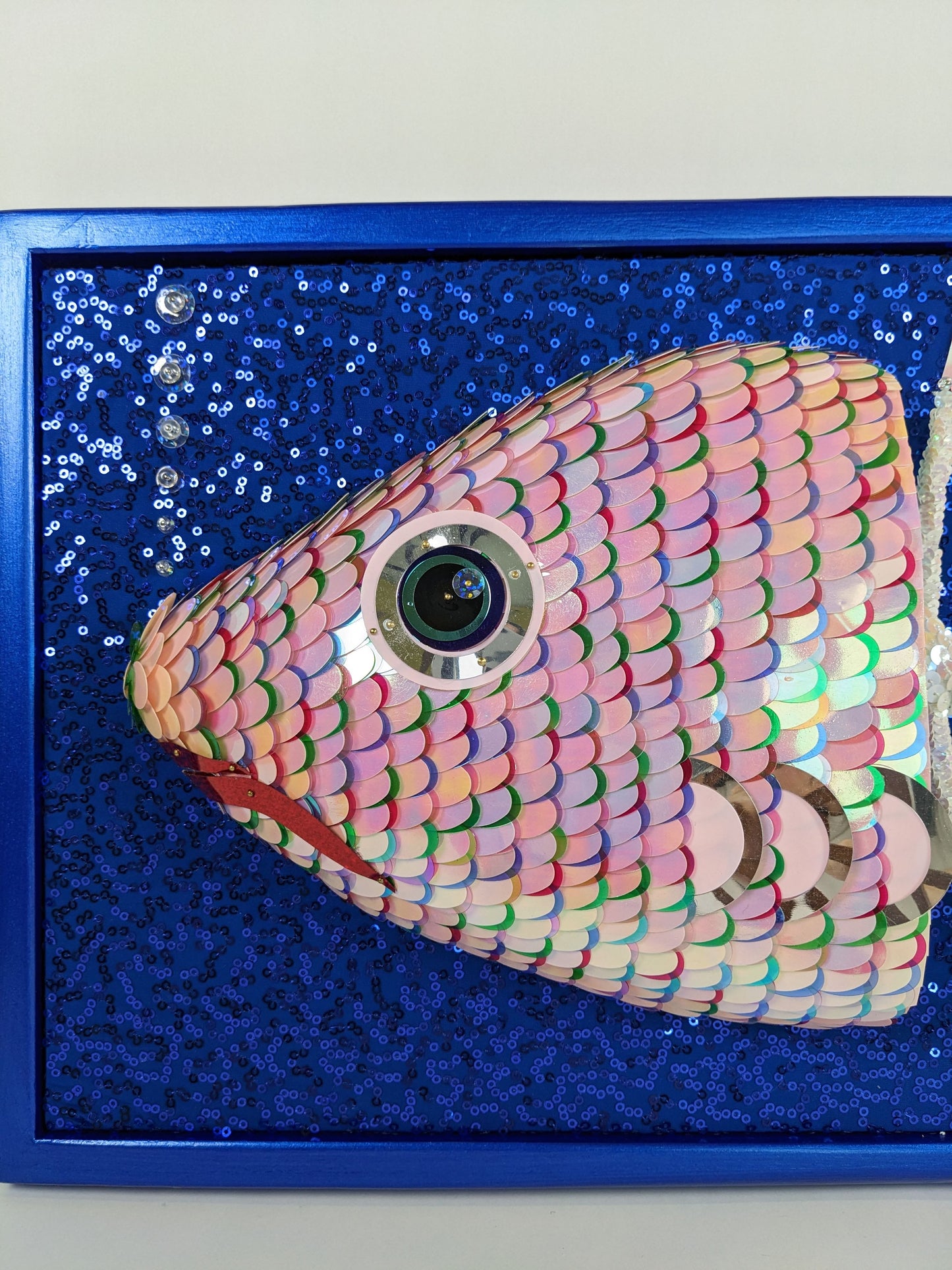 Rainbow Fish