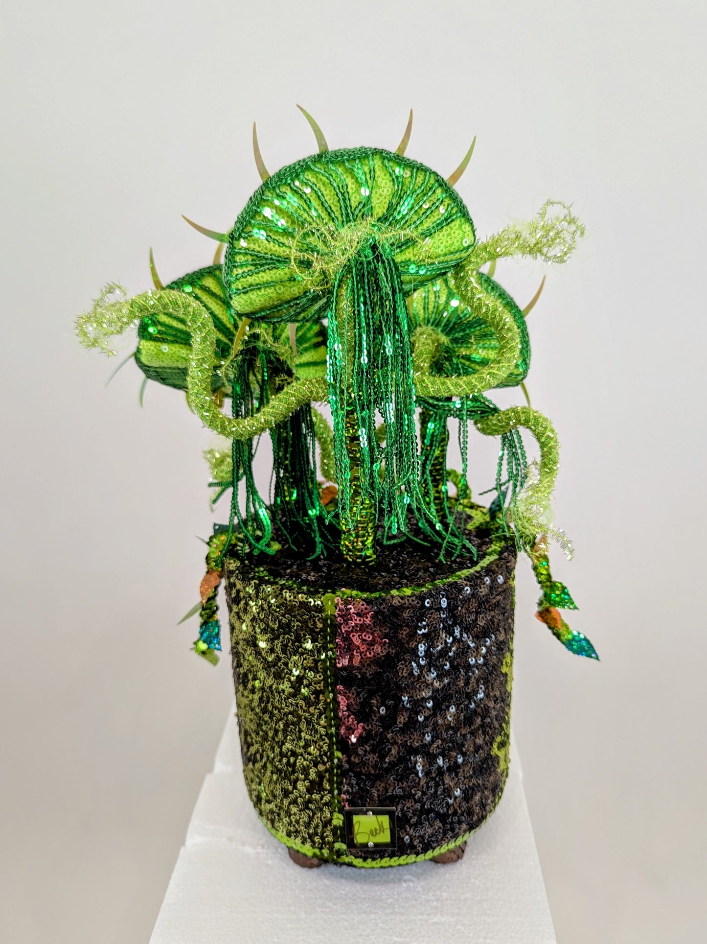 Venus Eye Trap Plant