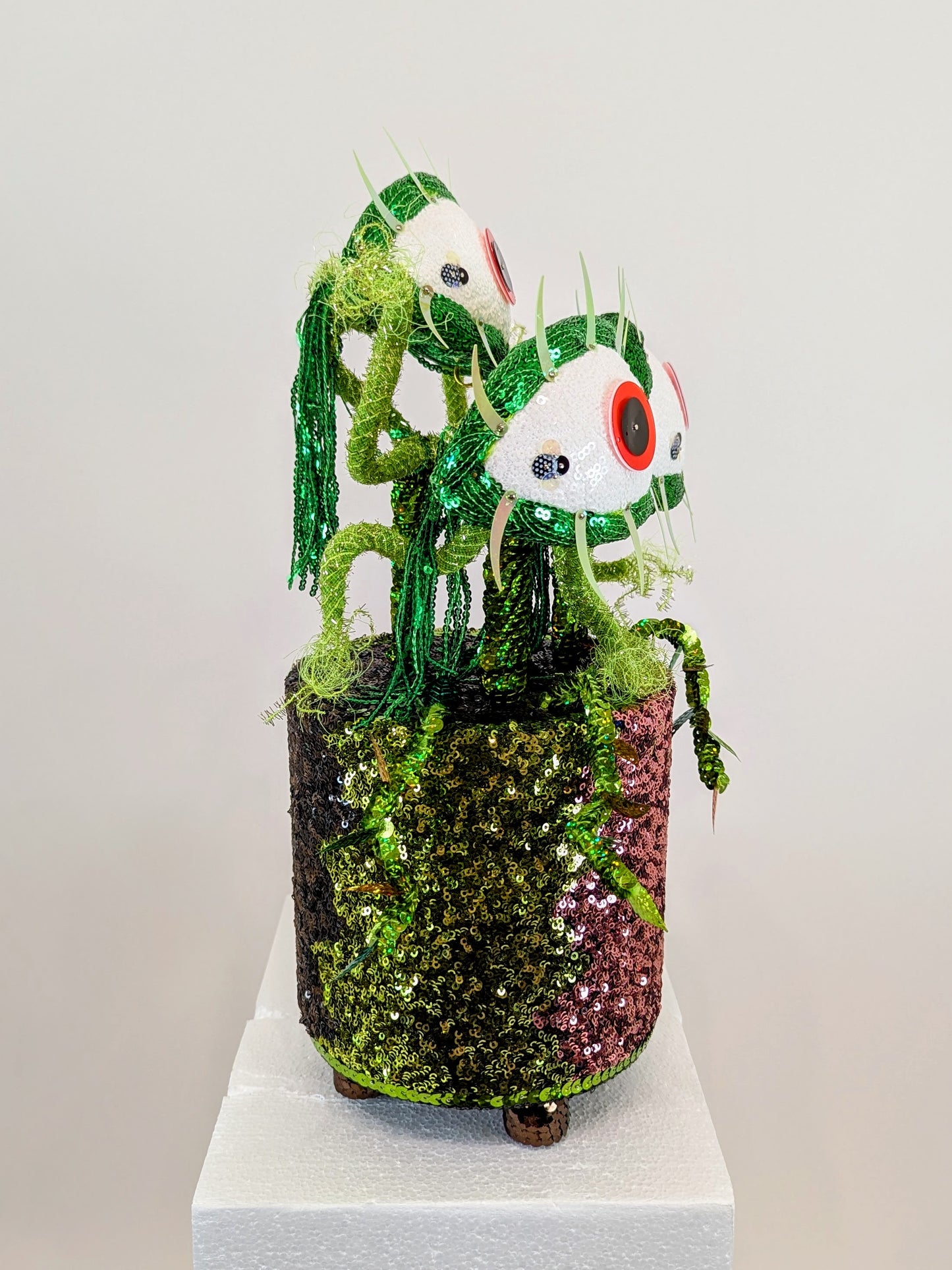 Venus Eye Trap Plant