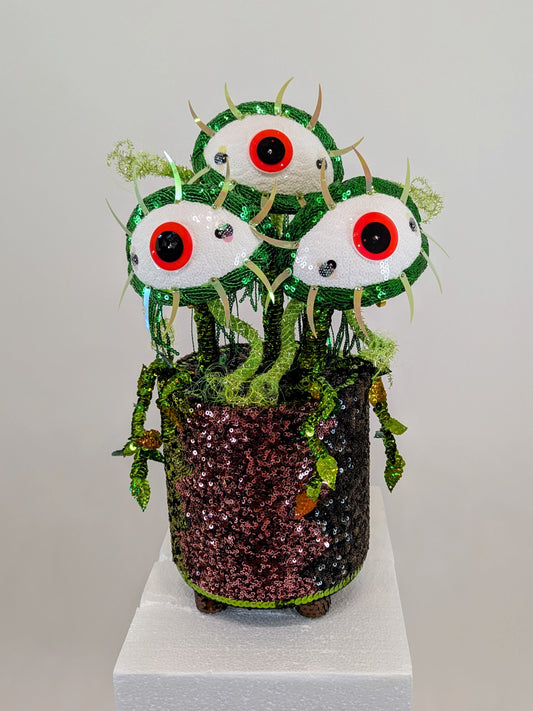 Venus Eye Trap Plant