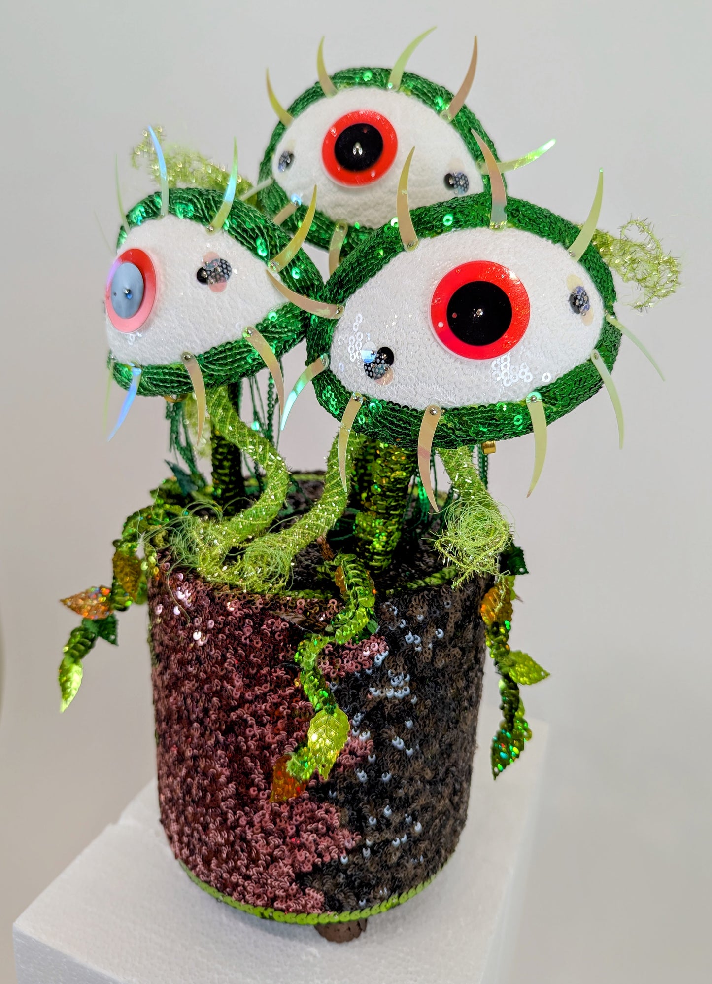 Venus Eye Trap Plant