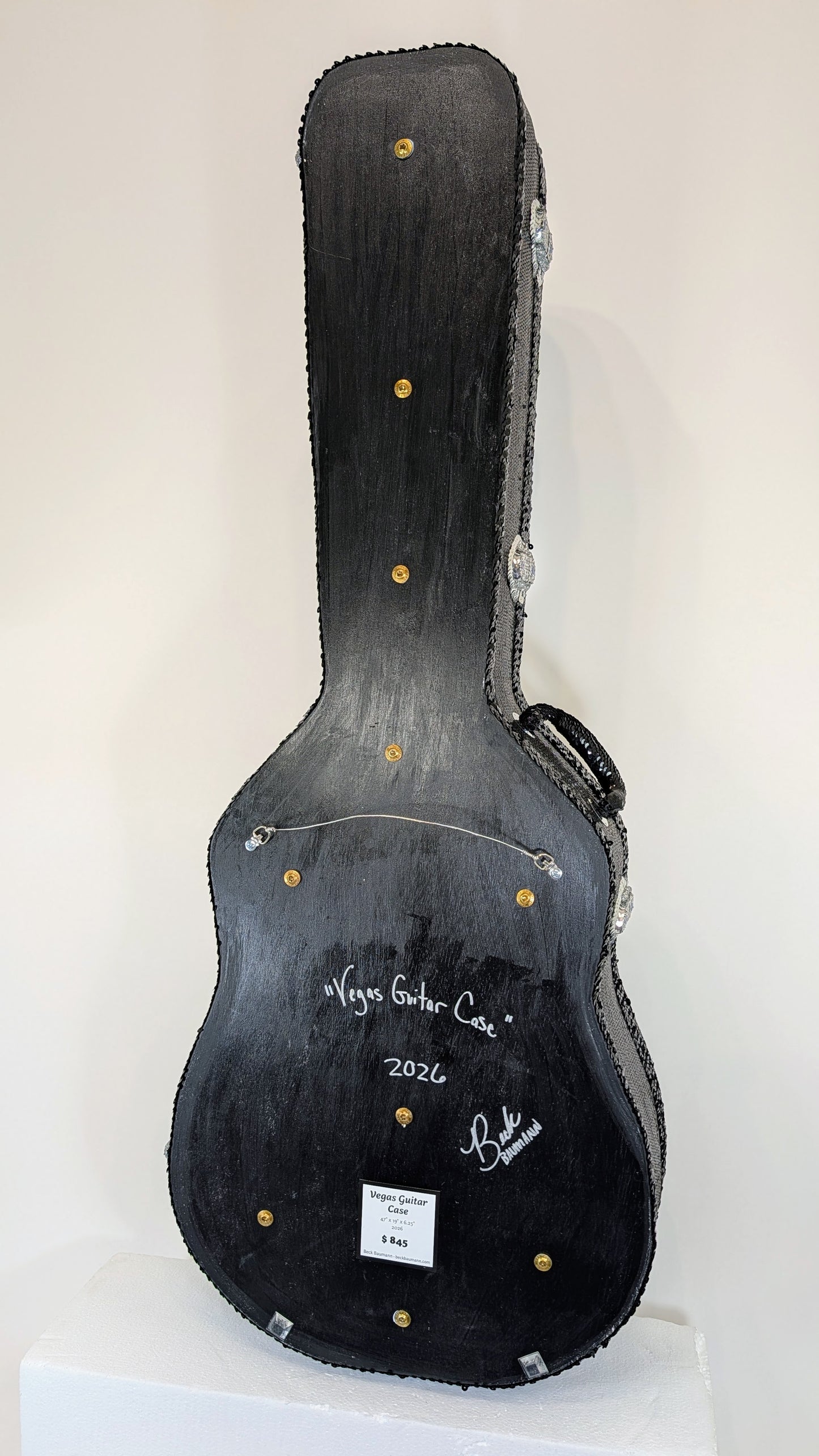 Vegas Guitar Case